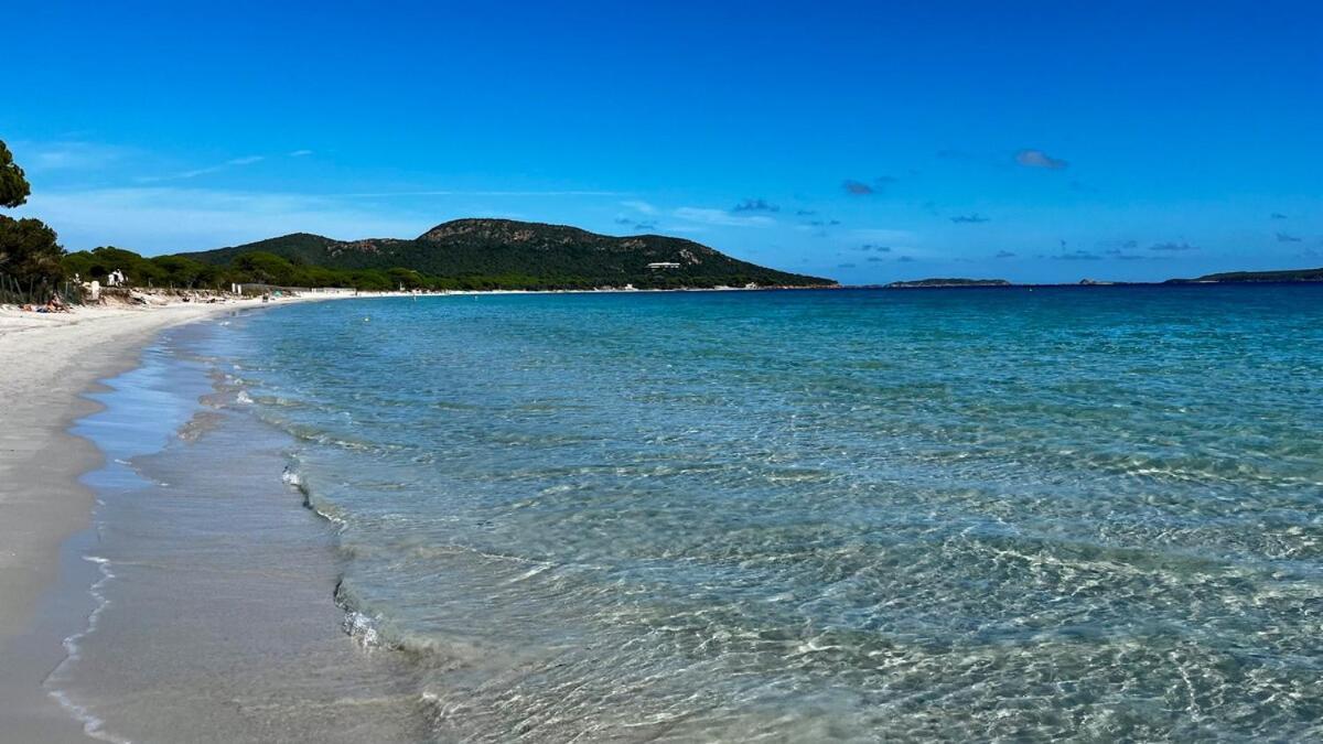 Villa 100m2, pleine nature, vue mer Porto-Vecchio (Corsica) Dış mekan fotoğraf